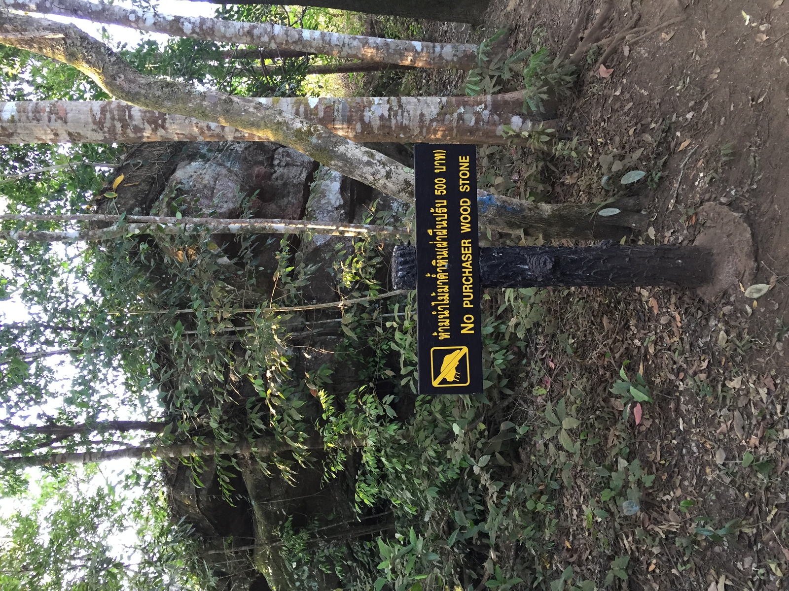 Photo Thaïlande Parc National Phu Hin Rong Kla 2014-12 422