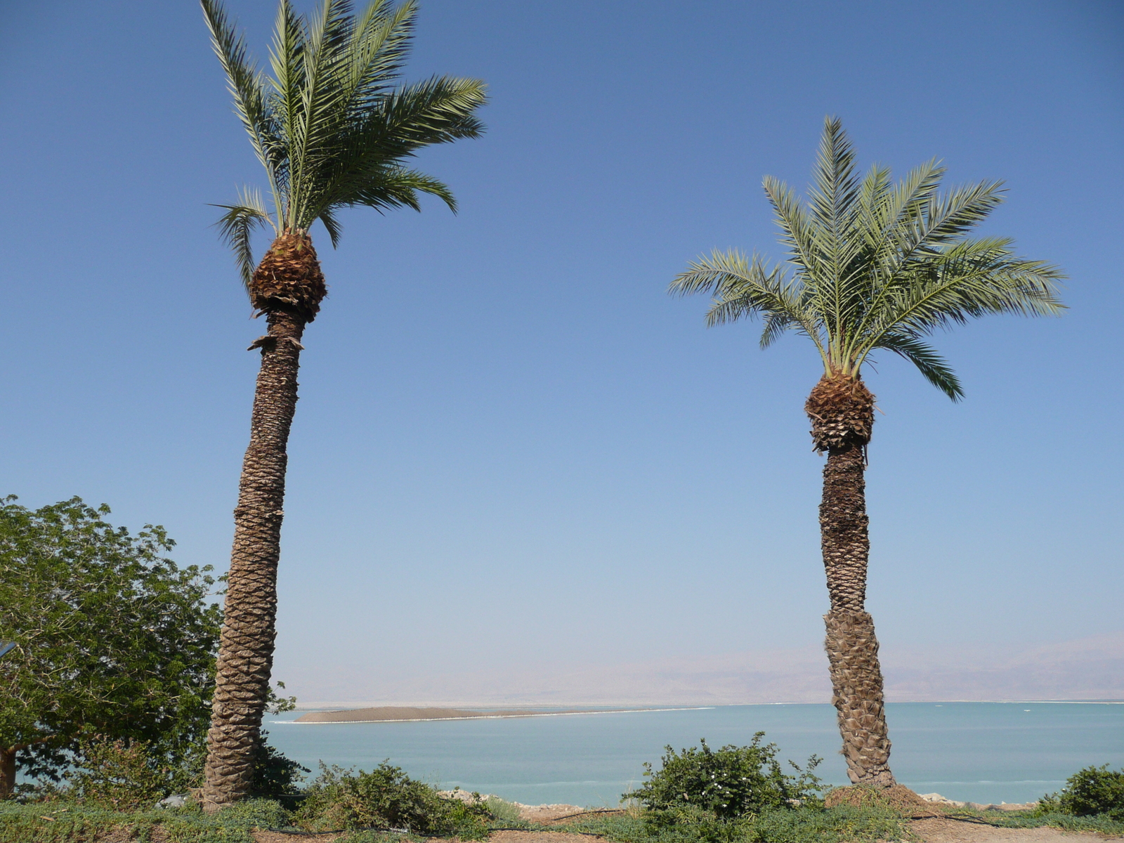 Photo Israel Boqeq 2007-06 186