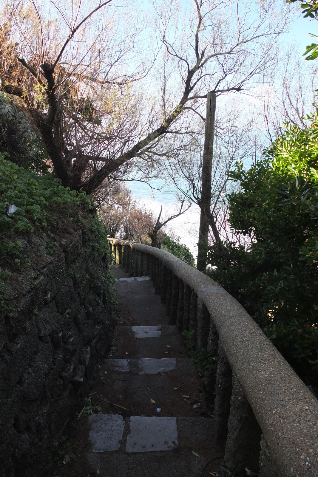 Photo France Biarritz 2013-01 41