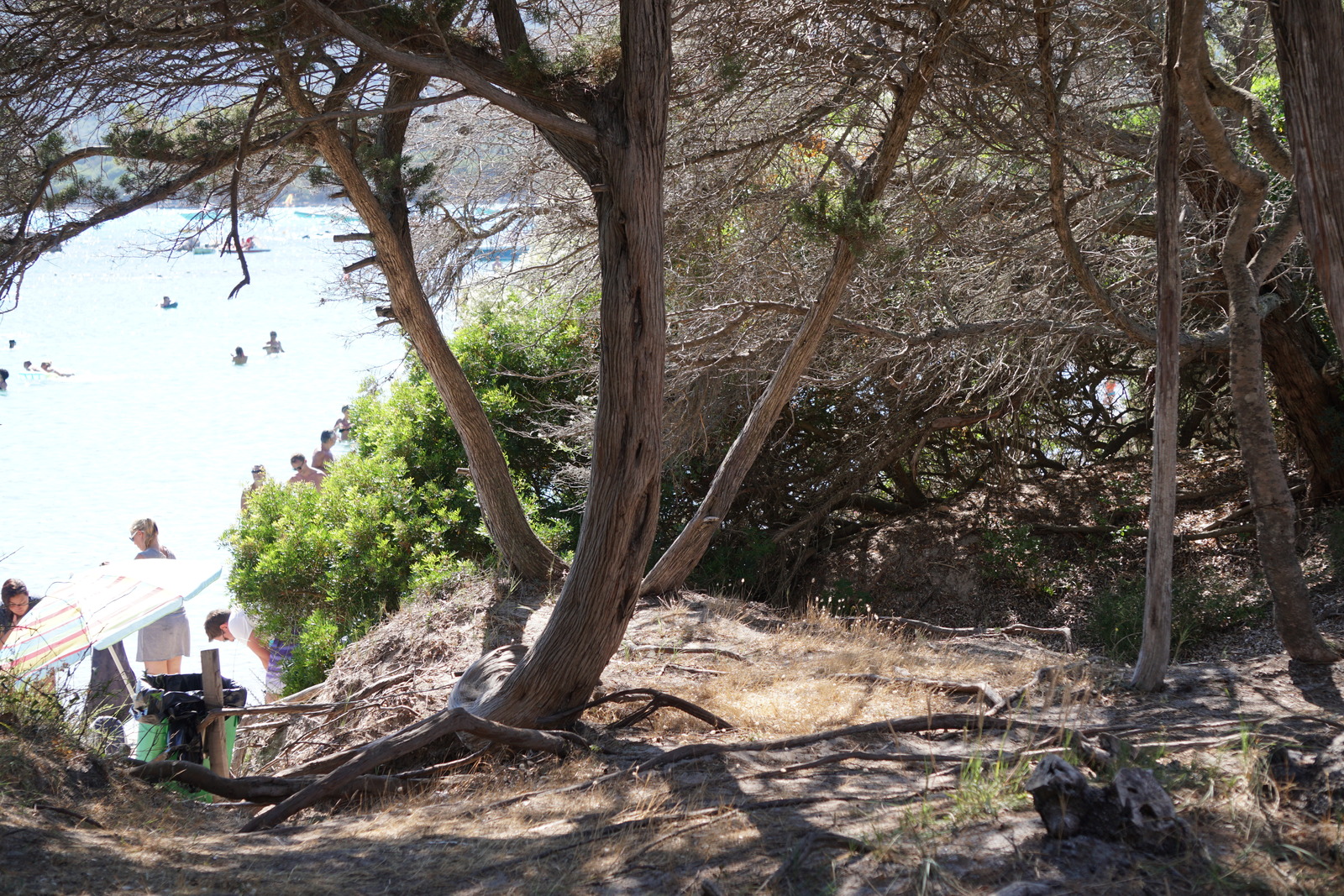 Photo France Corse Plage de Santa Giulia 2017-07 40