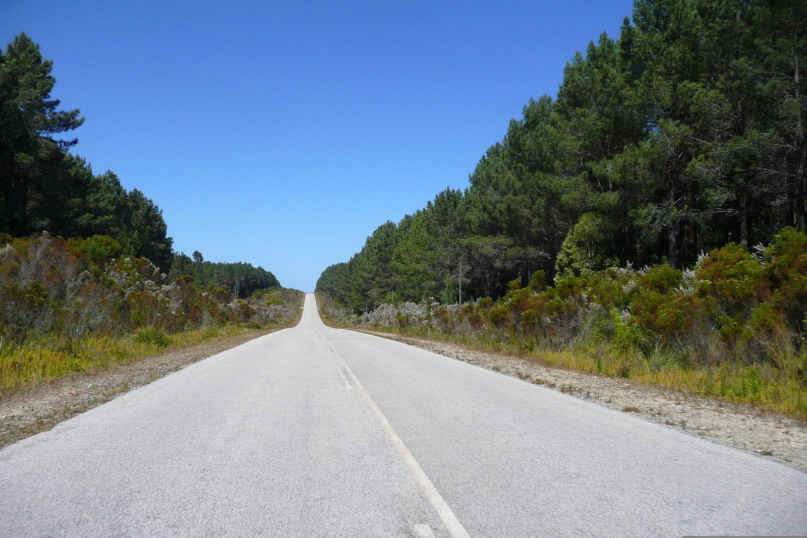 Photo Afrique du Sud route de Knysna à Port Elizabeth 2008-09 33