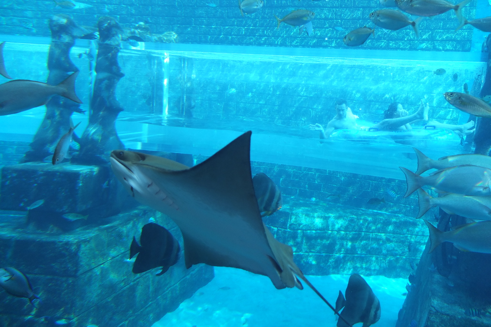 Photo Émirats arabes unis Dubai Hotel Atlantis 2014-02 88