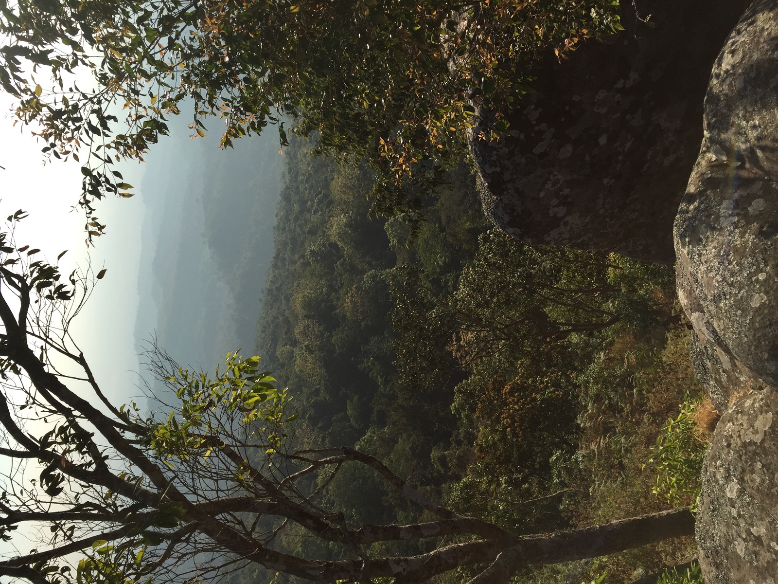 Photo Thaïlande Parc National Phu Hin Rong Kla 2014-12 308