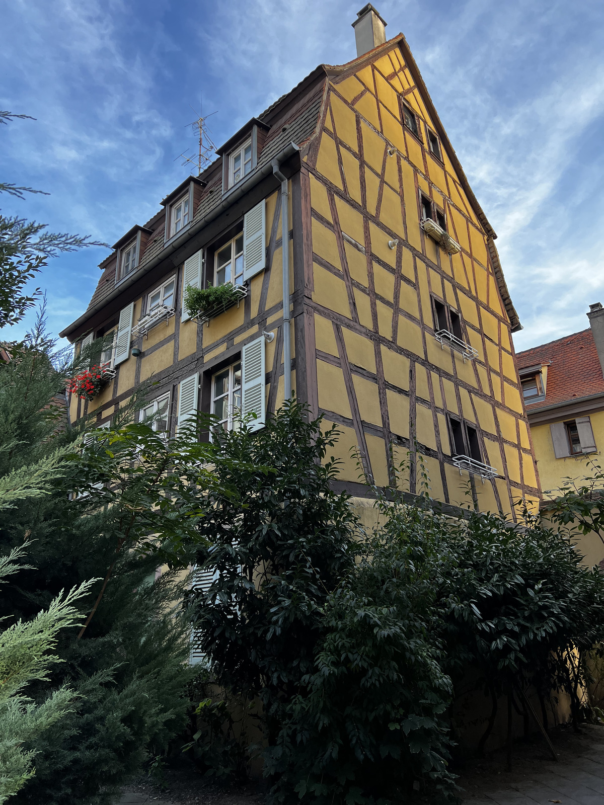 Photo France Colmar 2023-10 60