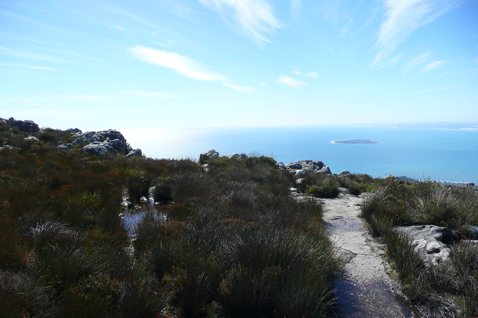 Photo Afrique du Sud Le Cap Montagne de la table 2008-09 42
