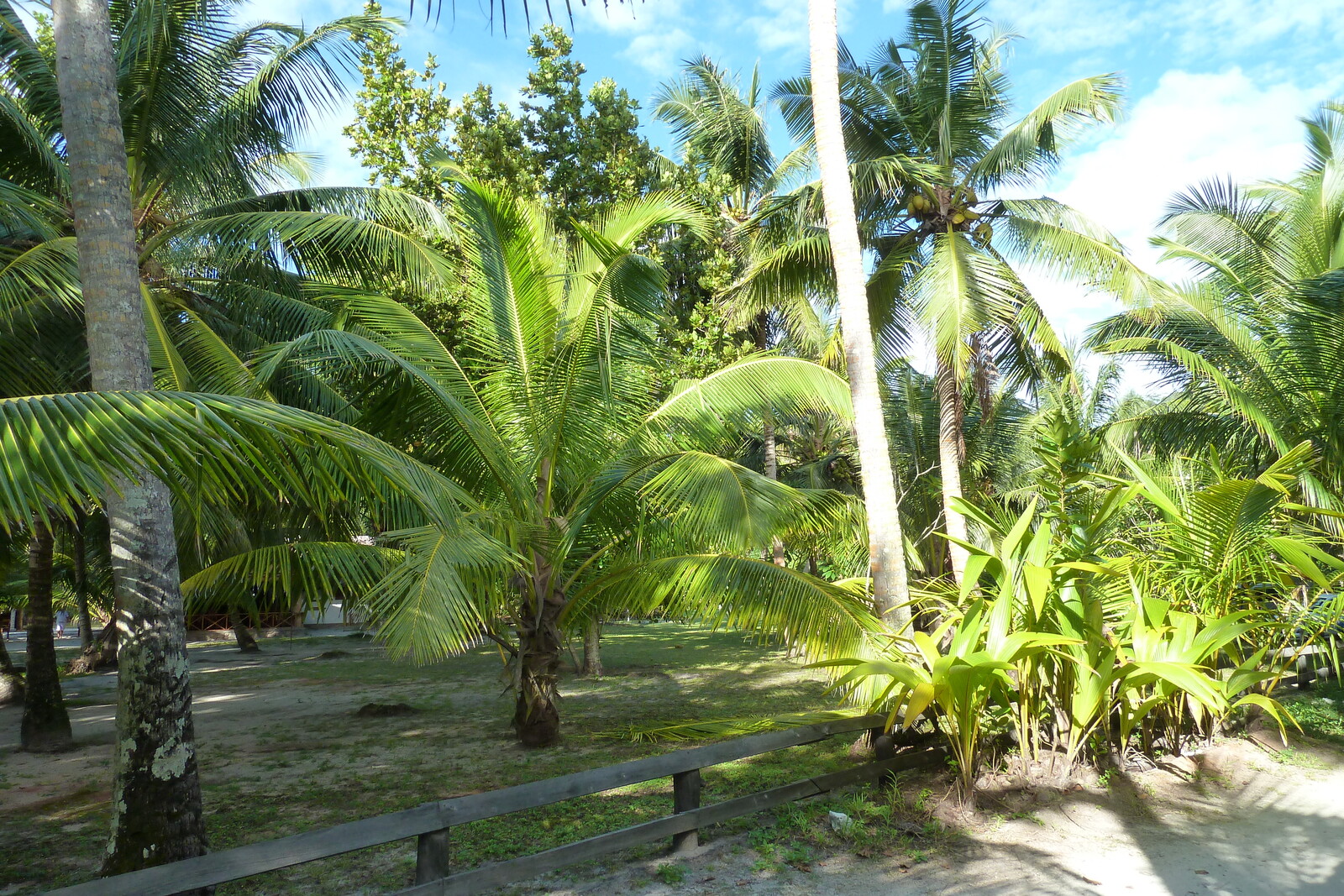 Photo Seychelles Anse Lazio 2011-10 100