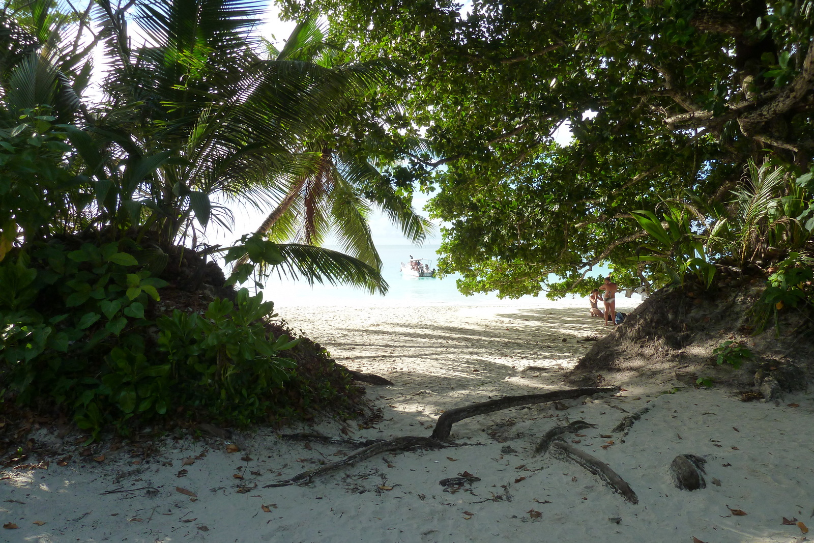Photo Seychelles Anse Lazio 2011-10 95