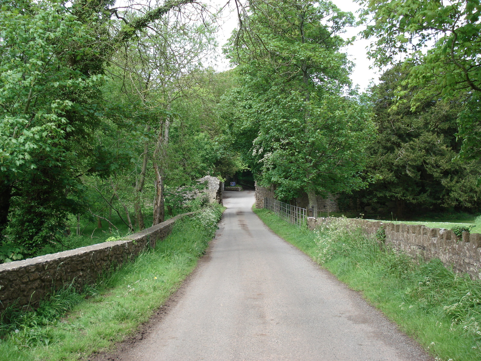 Photo Royaume-Uni Pembrokeshire Lamphey 2006-05 6