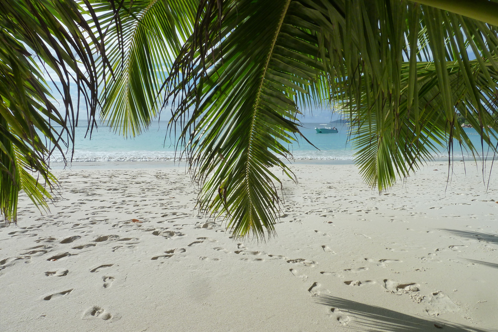 Photo Seychelles Anse Lazio 2011-10 124