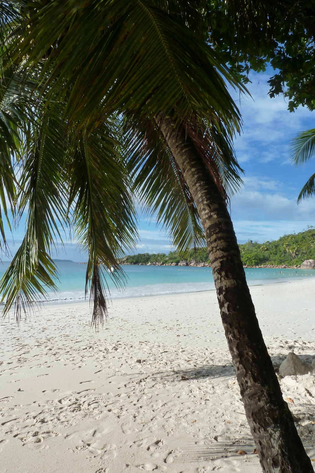 Photo Seychelles Anse Lazio 2011-10 50