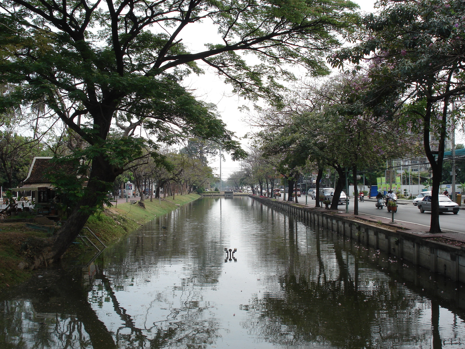Photo Thaïlande Chiang Mai Centre(intra Canal) Rue Bamrungburi (Canal) 2006-04 6