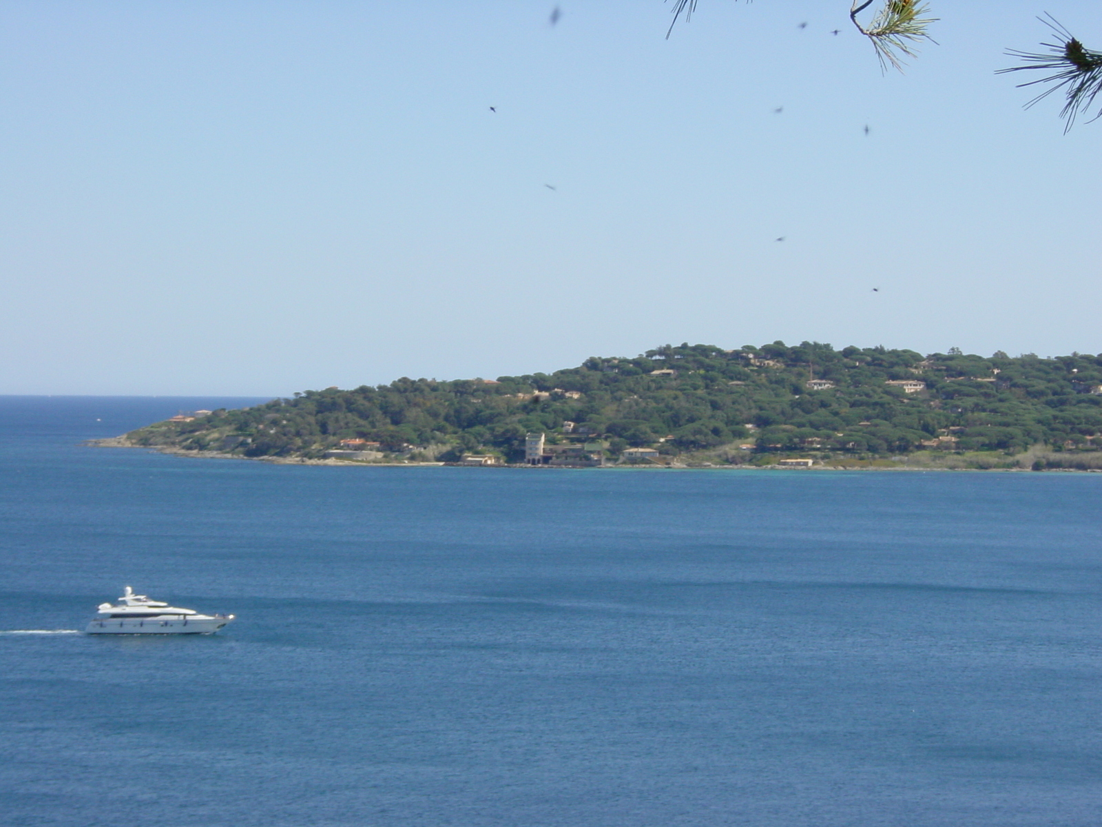 Photo France Saint Tropez 2002-03 68