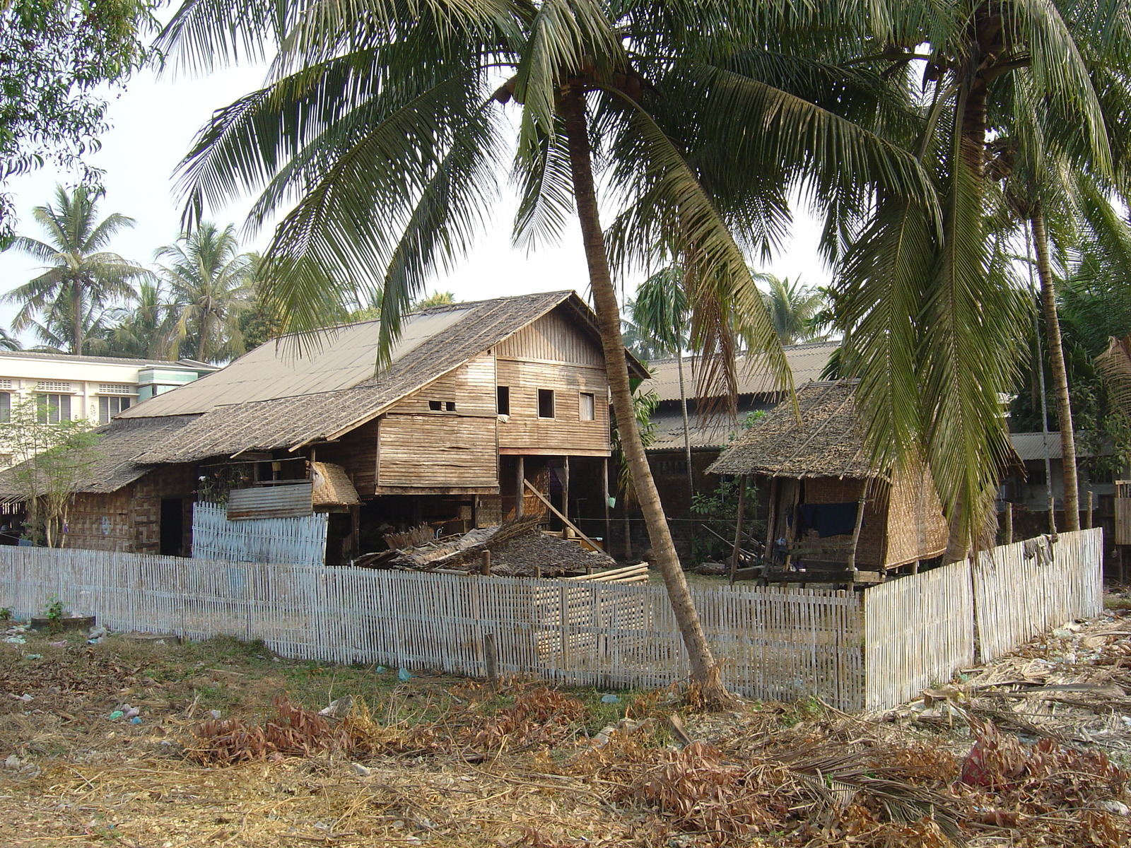 Photo Birmanie (Myanmar) Dawei (TAVOY) 2005-01 96