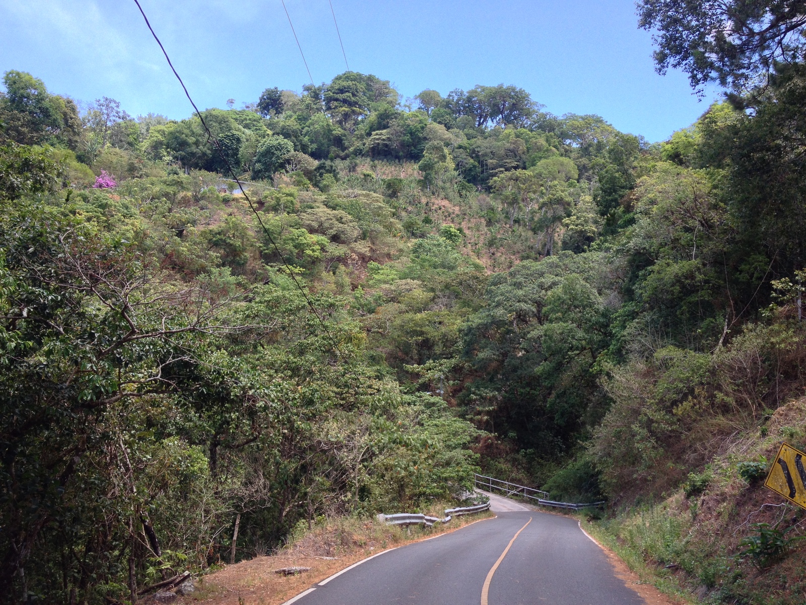 Photo Panama Boquete 2015-03 52