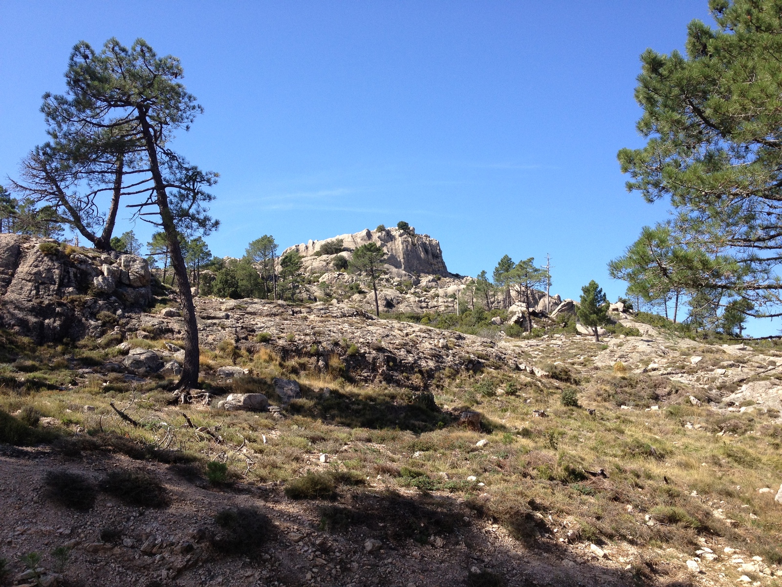 Photo France Corse Forêt de l'Ospedale 2012-09 59