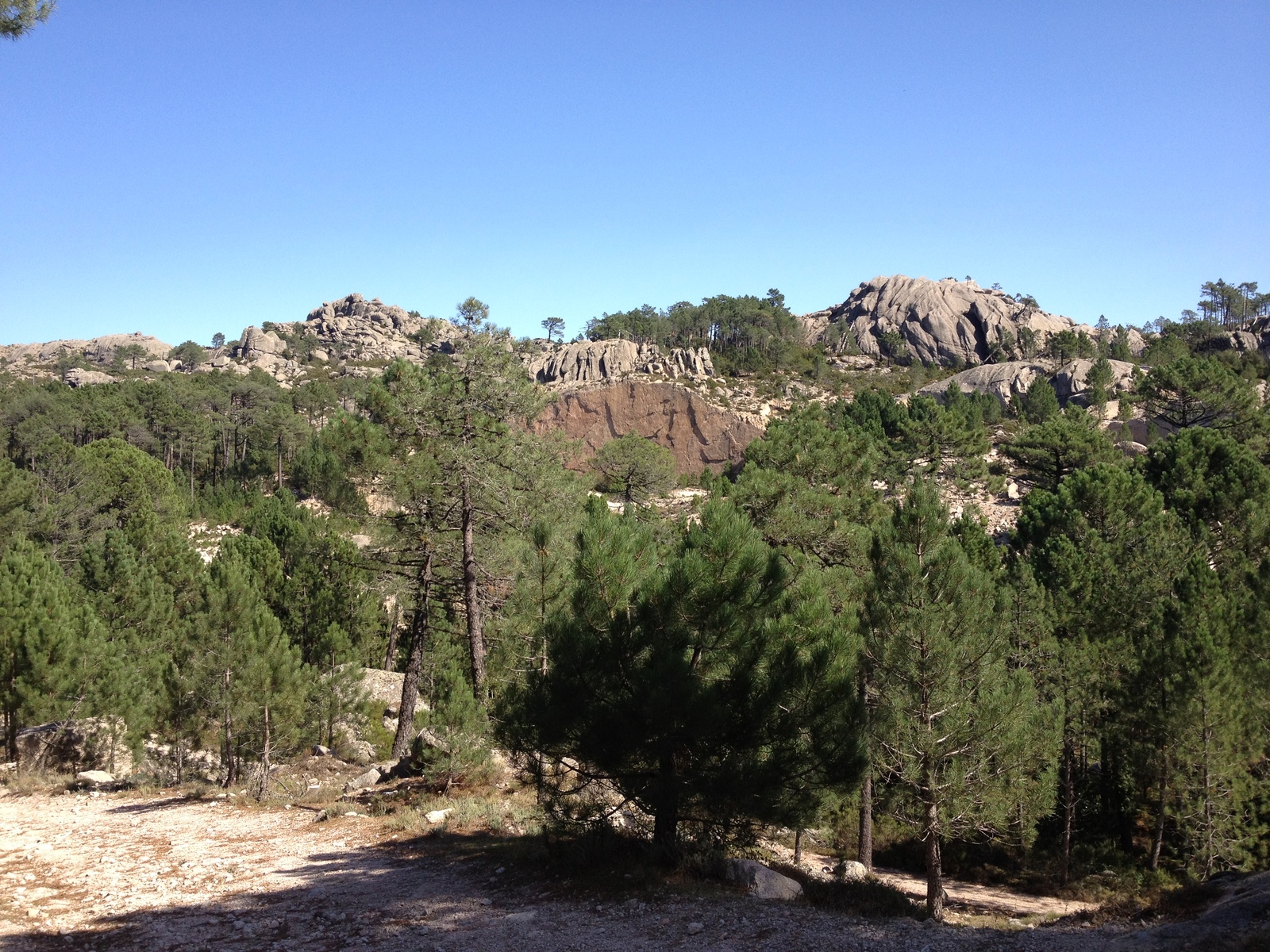 Photo France Corse Forêt de l'Ospedale 2012-09 53