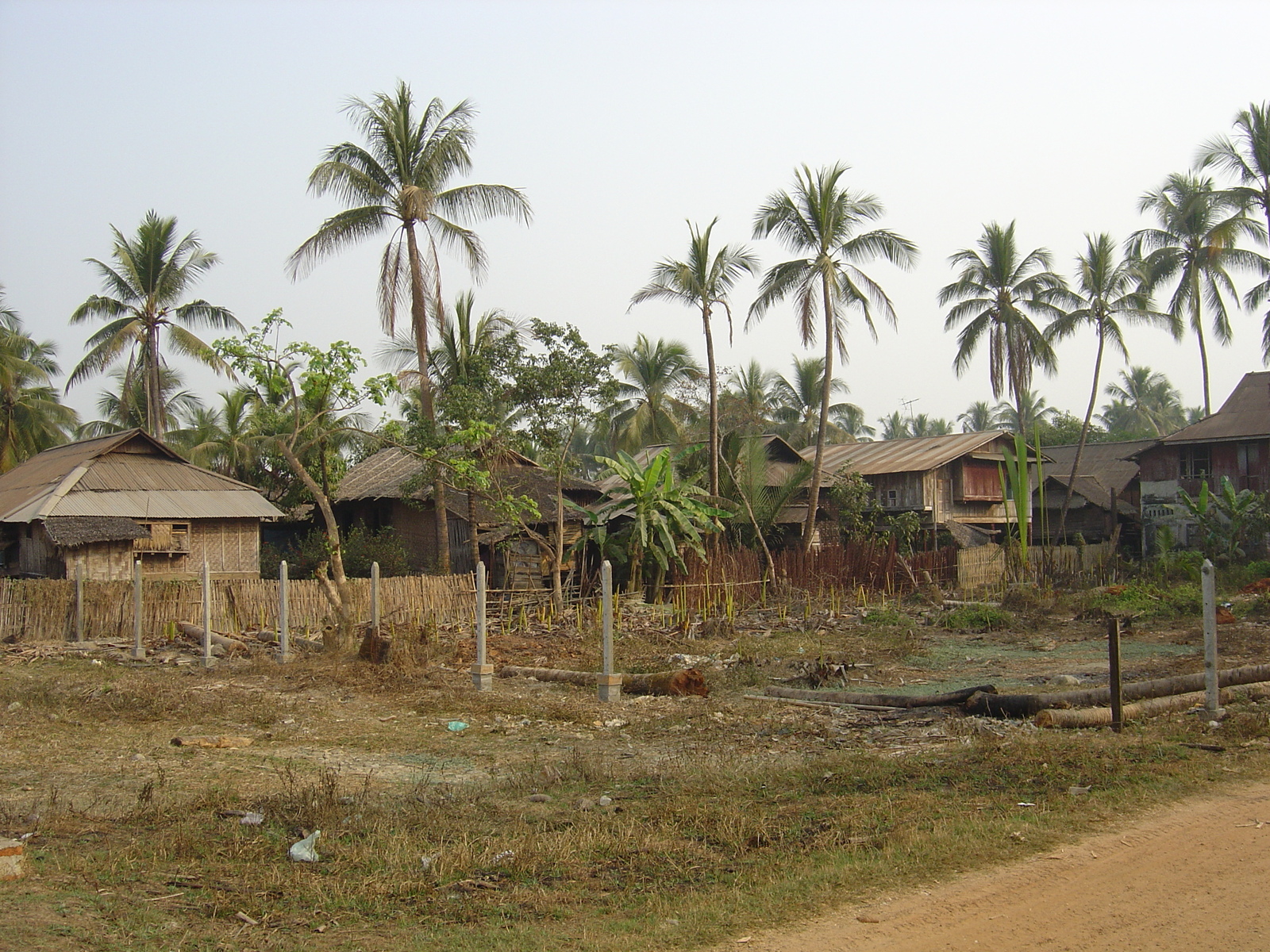 Photo Birmanie (Myanmar) Dawei (TAVOY) 2005-01 98