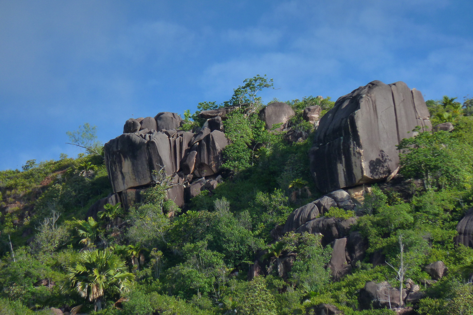 Photo Seychelles 2011-10 94