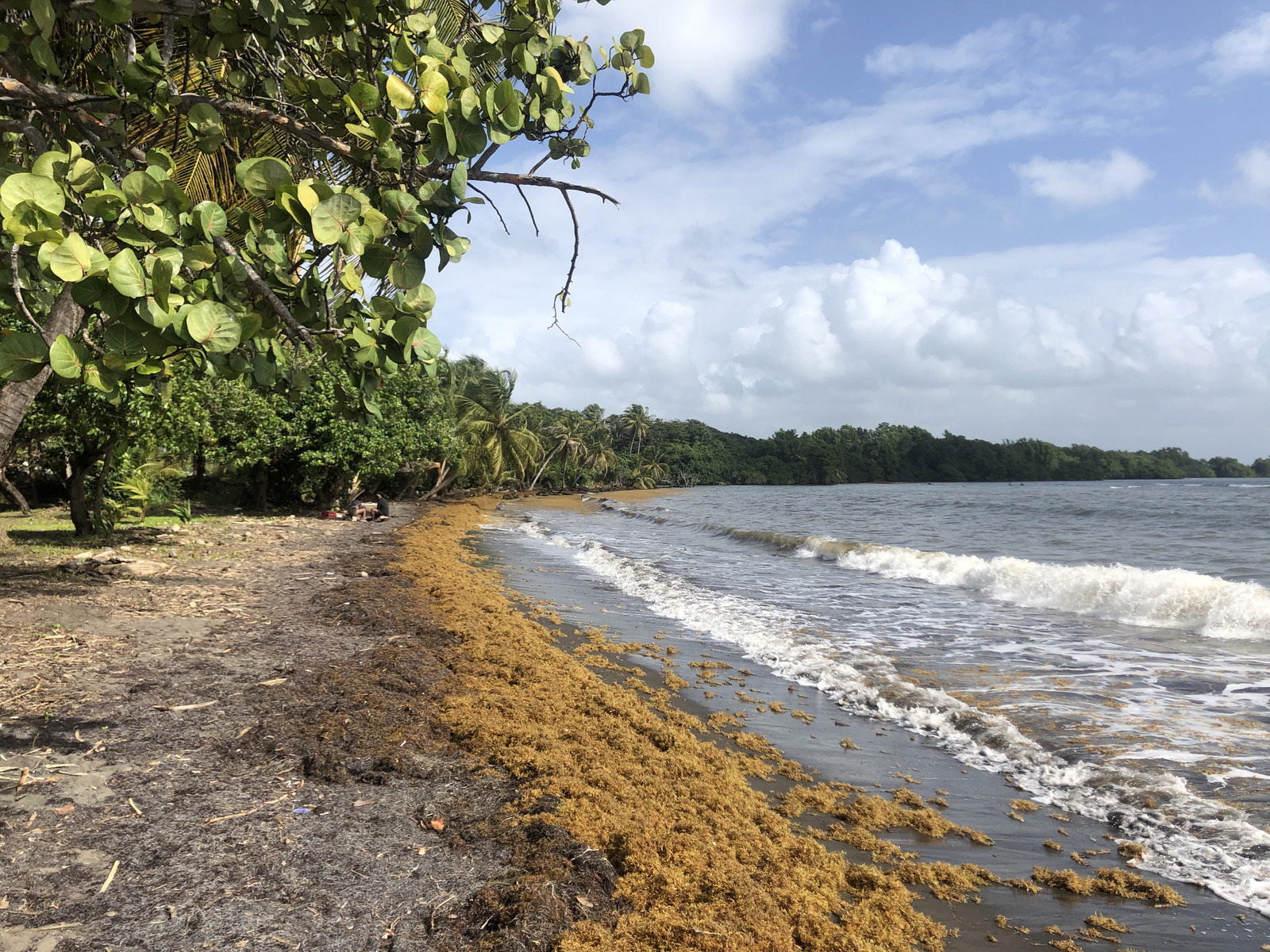 Photo Guadeloupe Plage de Viard 2021-02 2