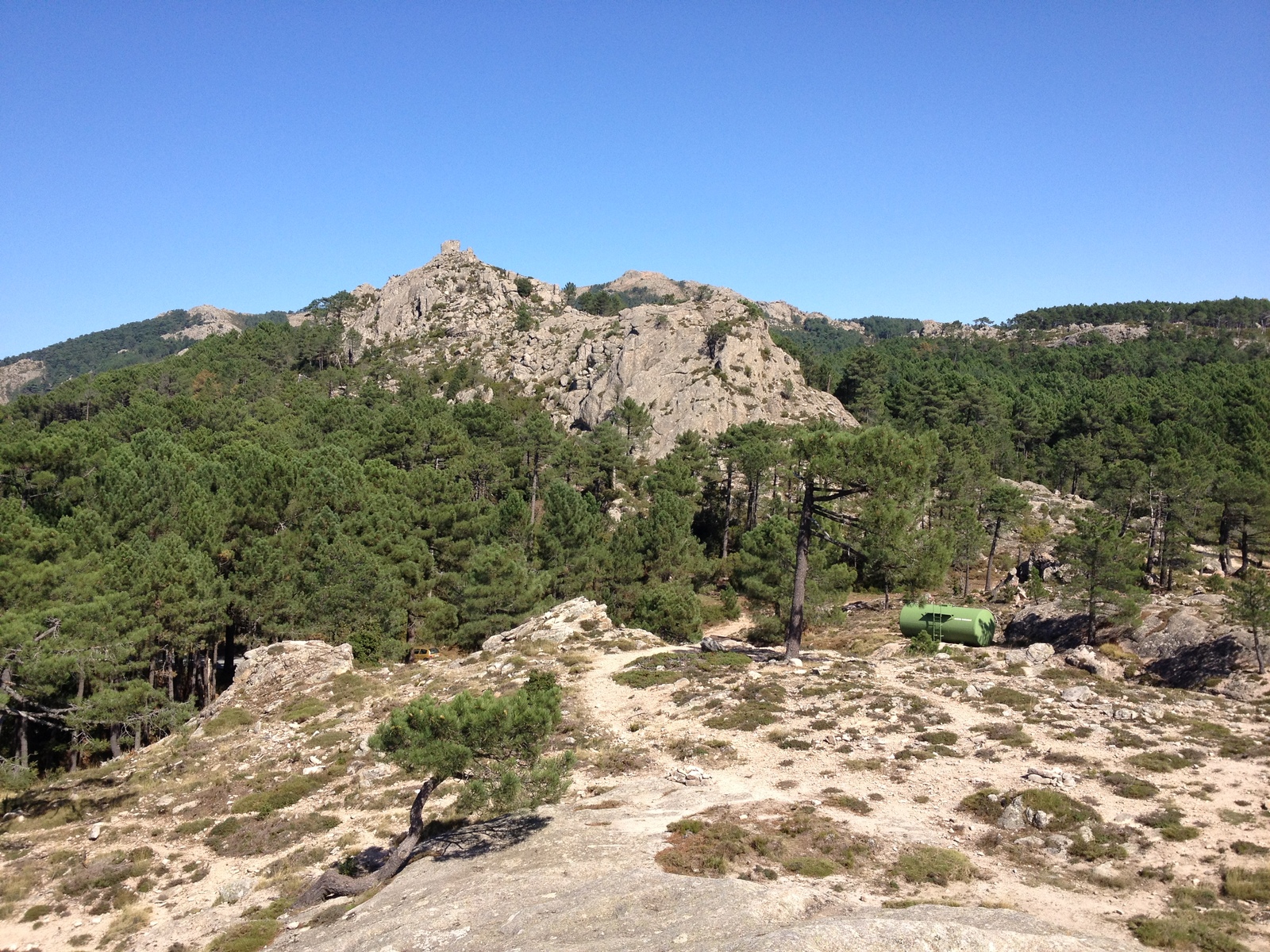 Photo France Corse Forêt de l'Ospedale 2012-09 62