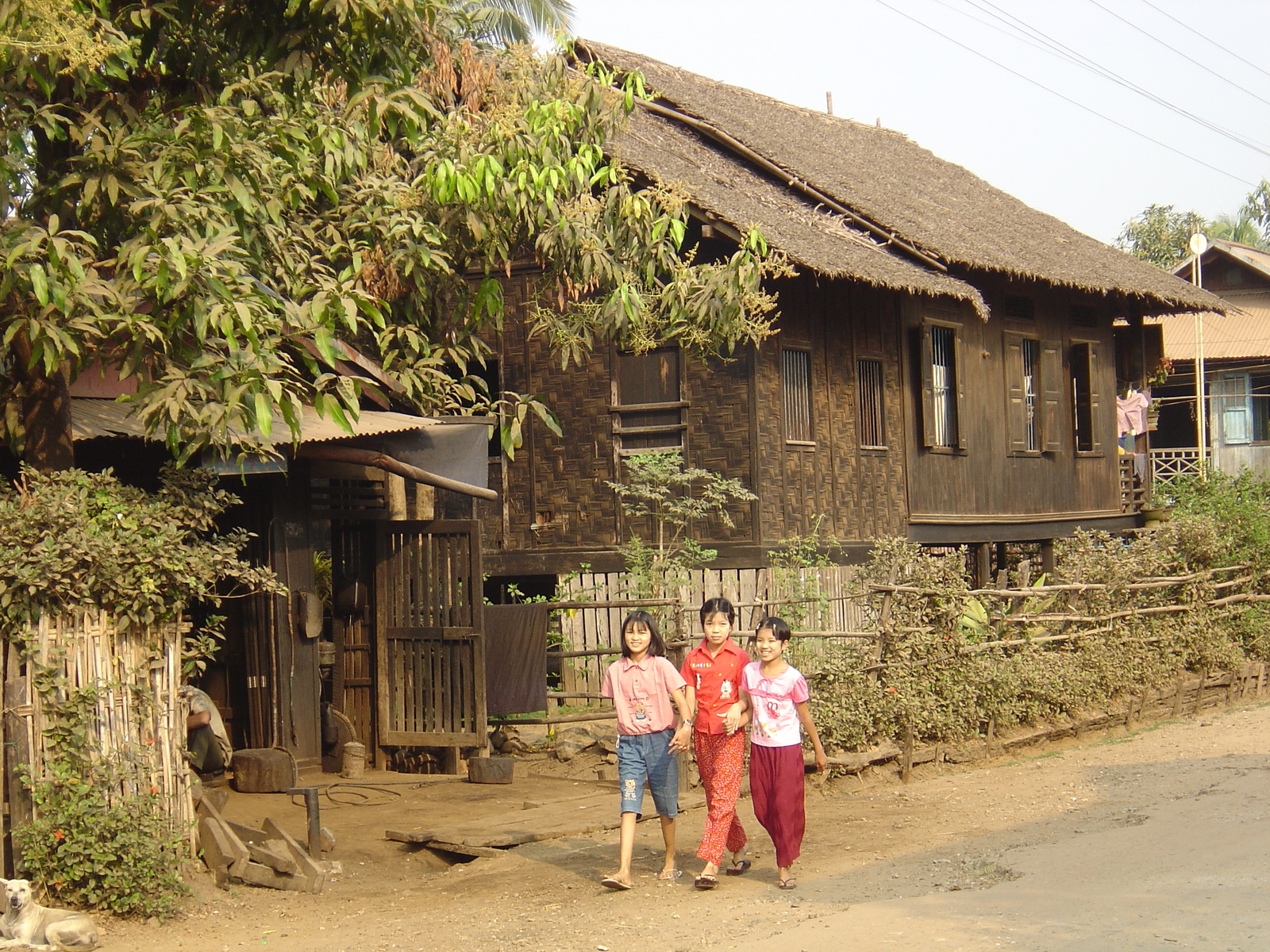 Photo Birmanie (Myanmar) Dawei (TAVOY) 2005-01 81
