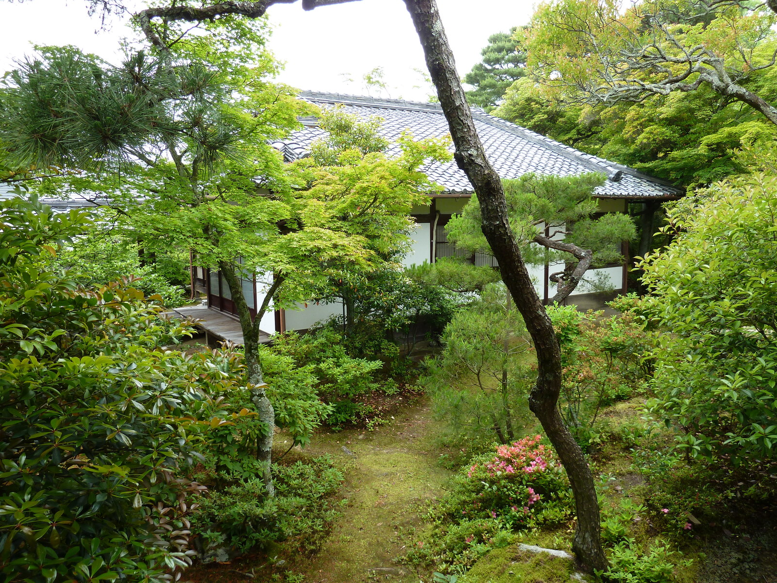 Photo Japon Kyoto résidence impériale Ninna ji 2010-06 82