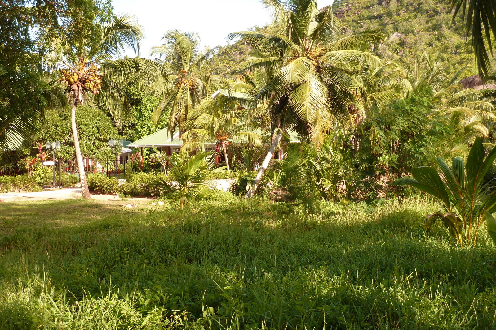 Photo Seychelles Anse Lazio 2011-10 106