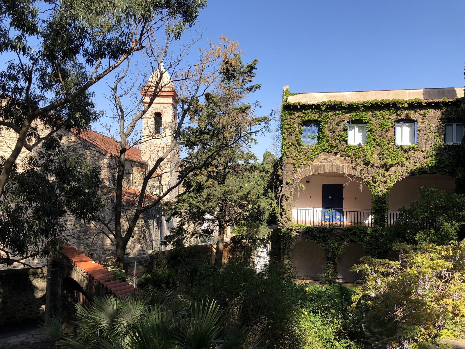 Photo France Collioure 2018-04 341