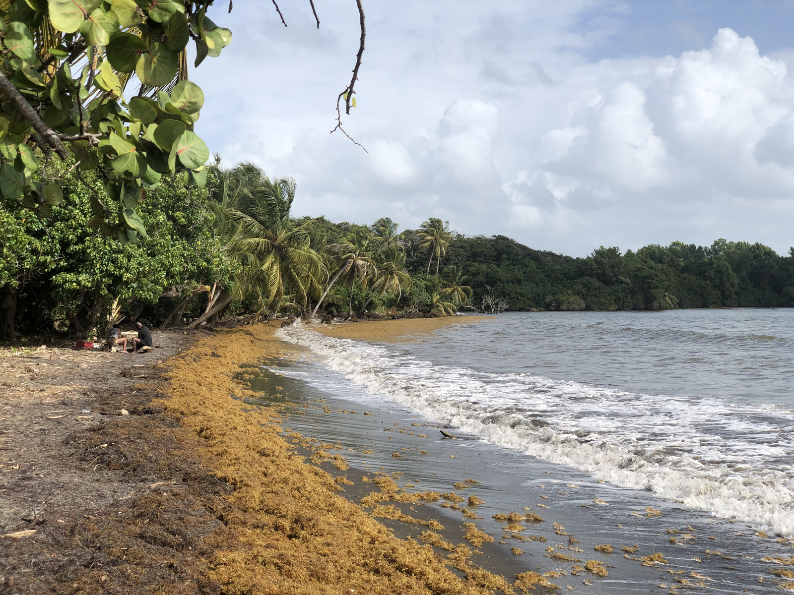 Photo Guadeloupe Plage de Viard 2021-02 1