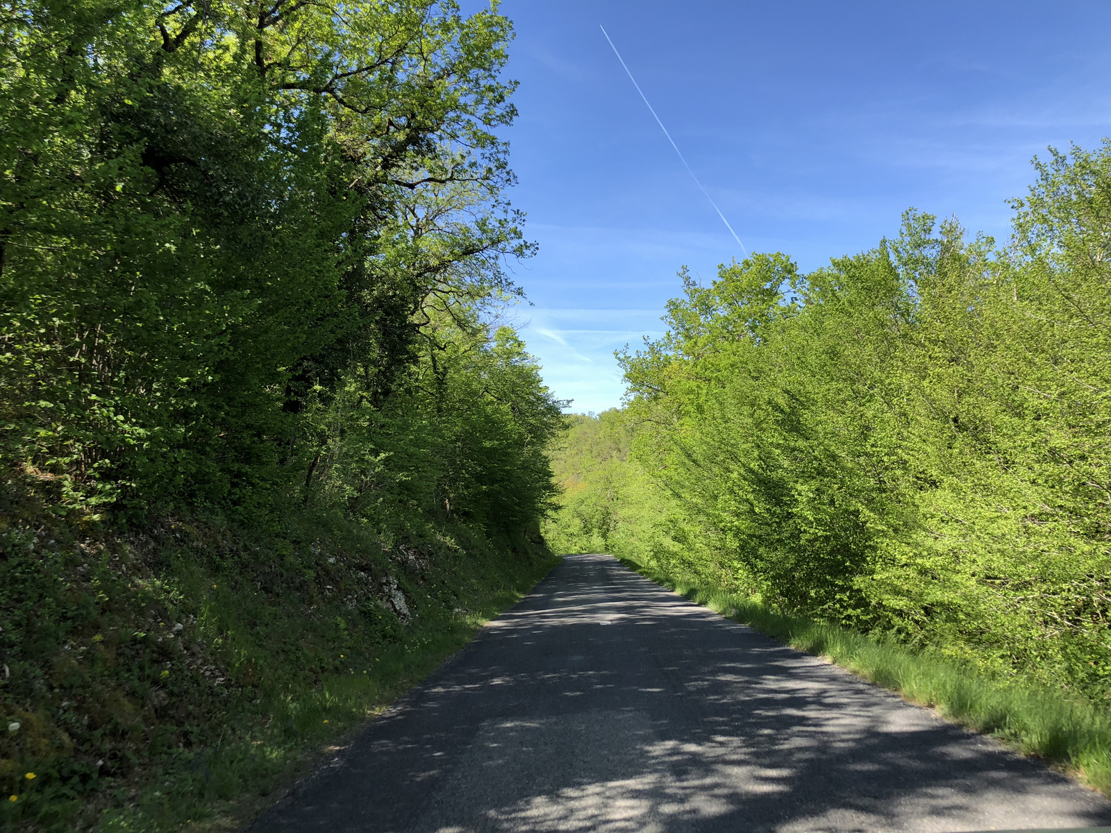 Photo France Floirac 2018-04 36