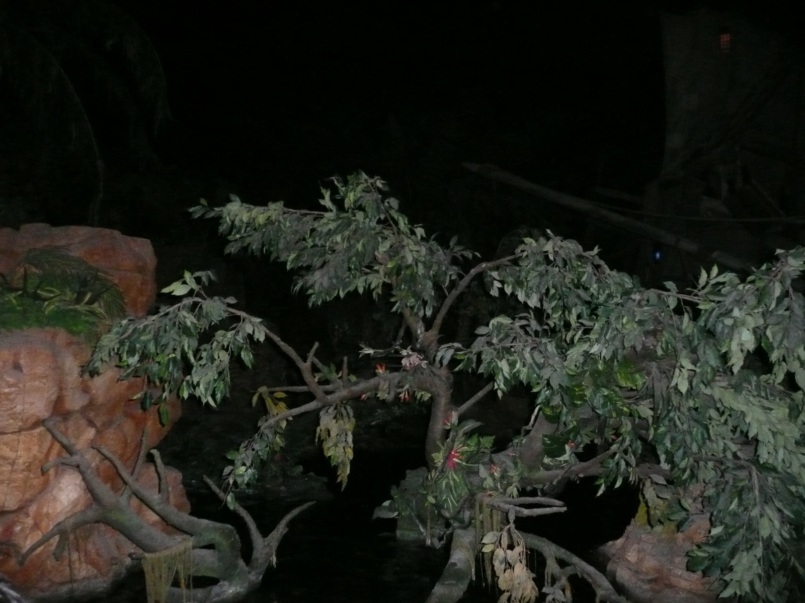 Photo France Disneyland Paris Pirates des Caraïbes 2007-07 49