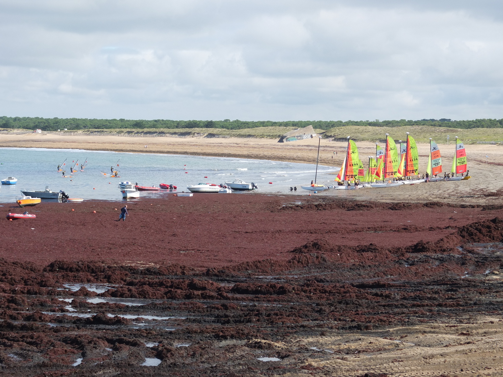 Photo France Saint Hilaire de Riez 2012-07 1