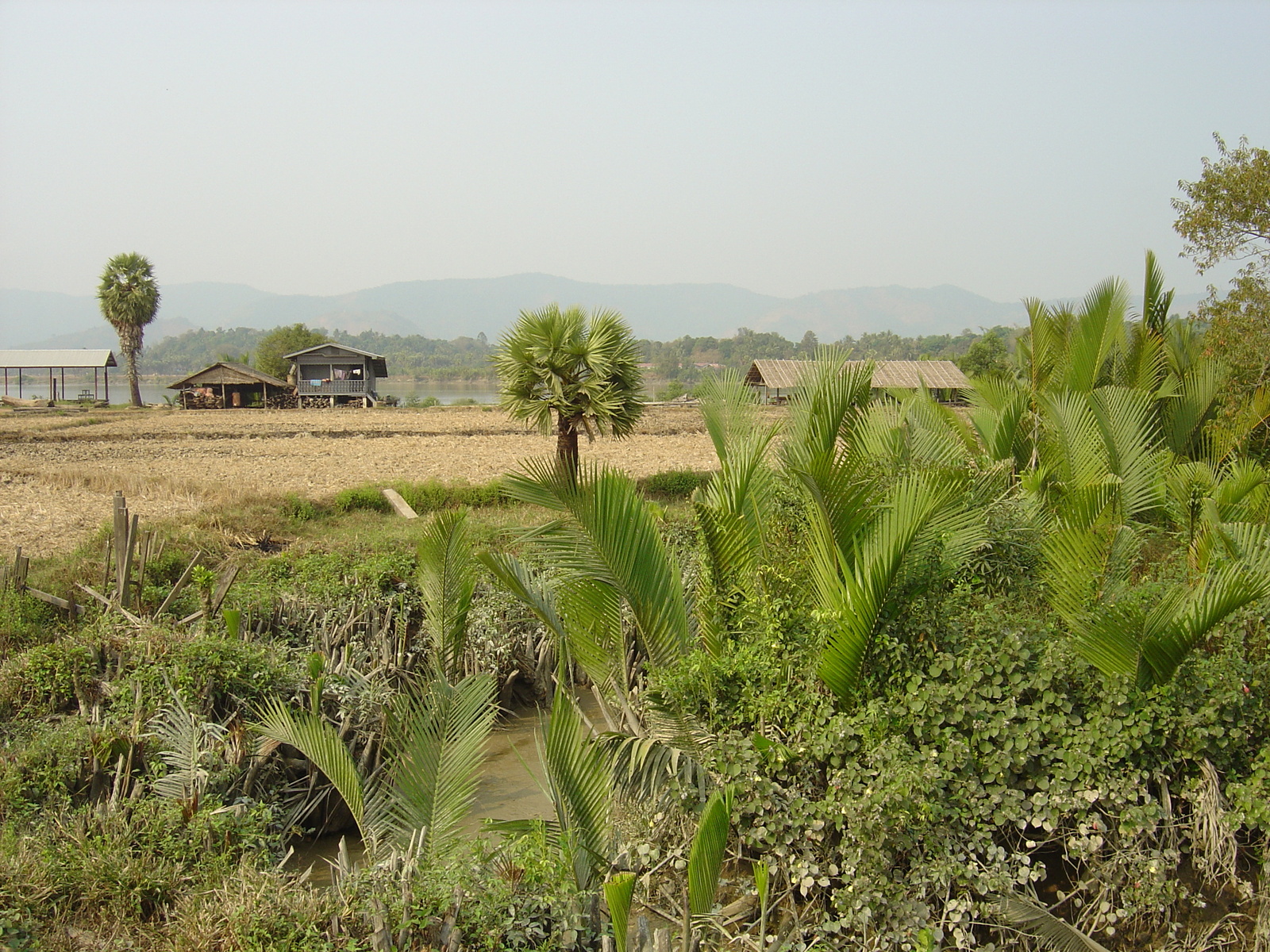 Photo Birmanie (Myanmar) Dawei (TAVOY) 2005-01 36