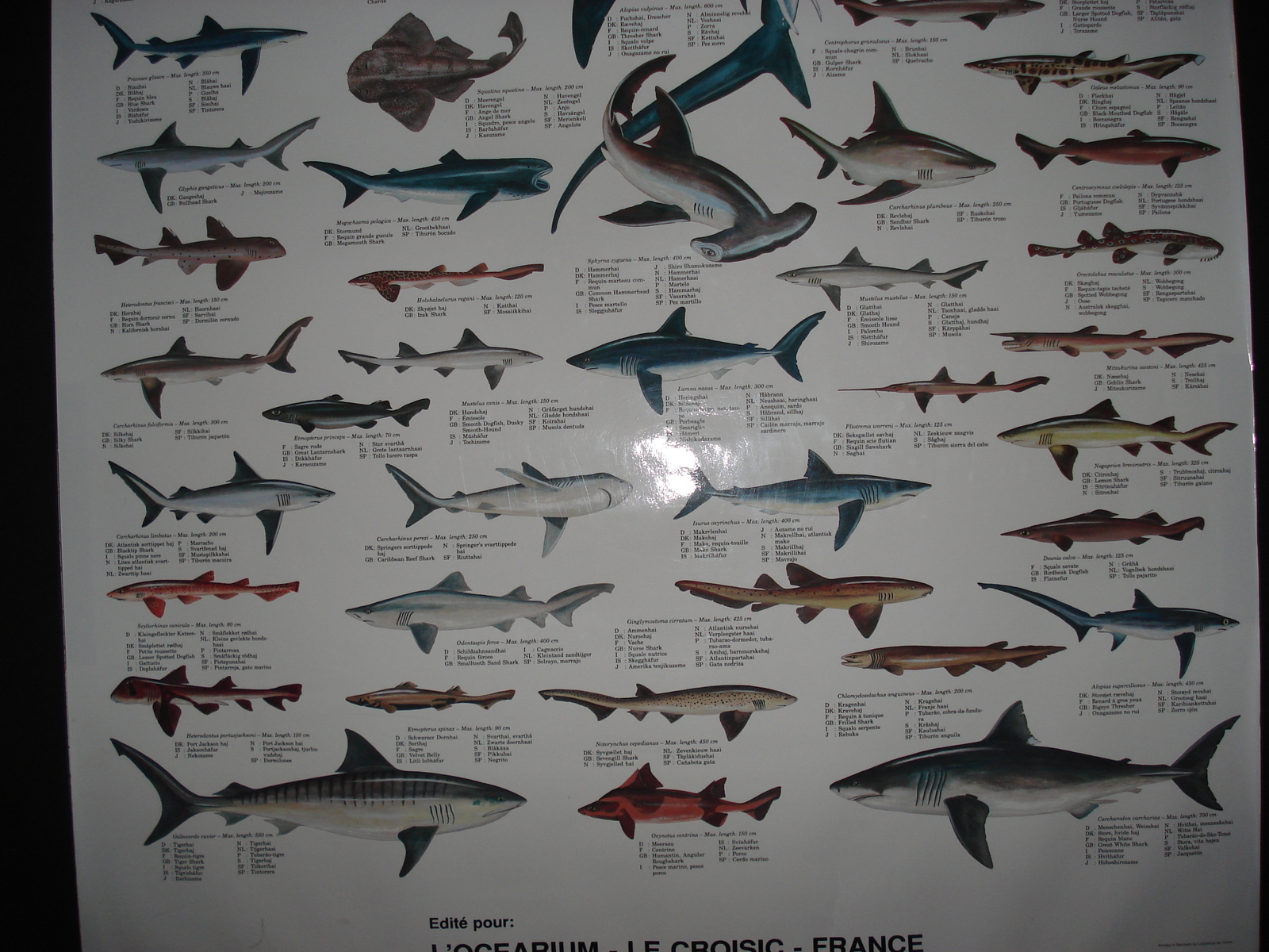 Photo France Le Croisic 2006-08 8