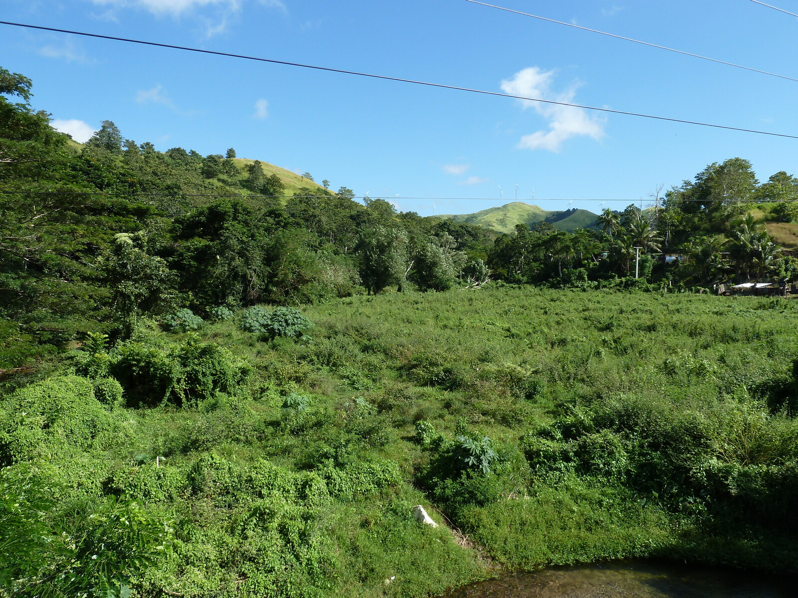 Photo Îles Fidji Rivière Sigatoka 2010-05 83