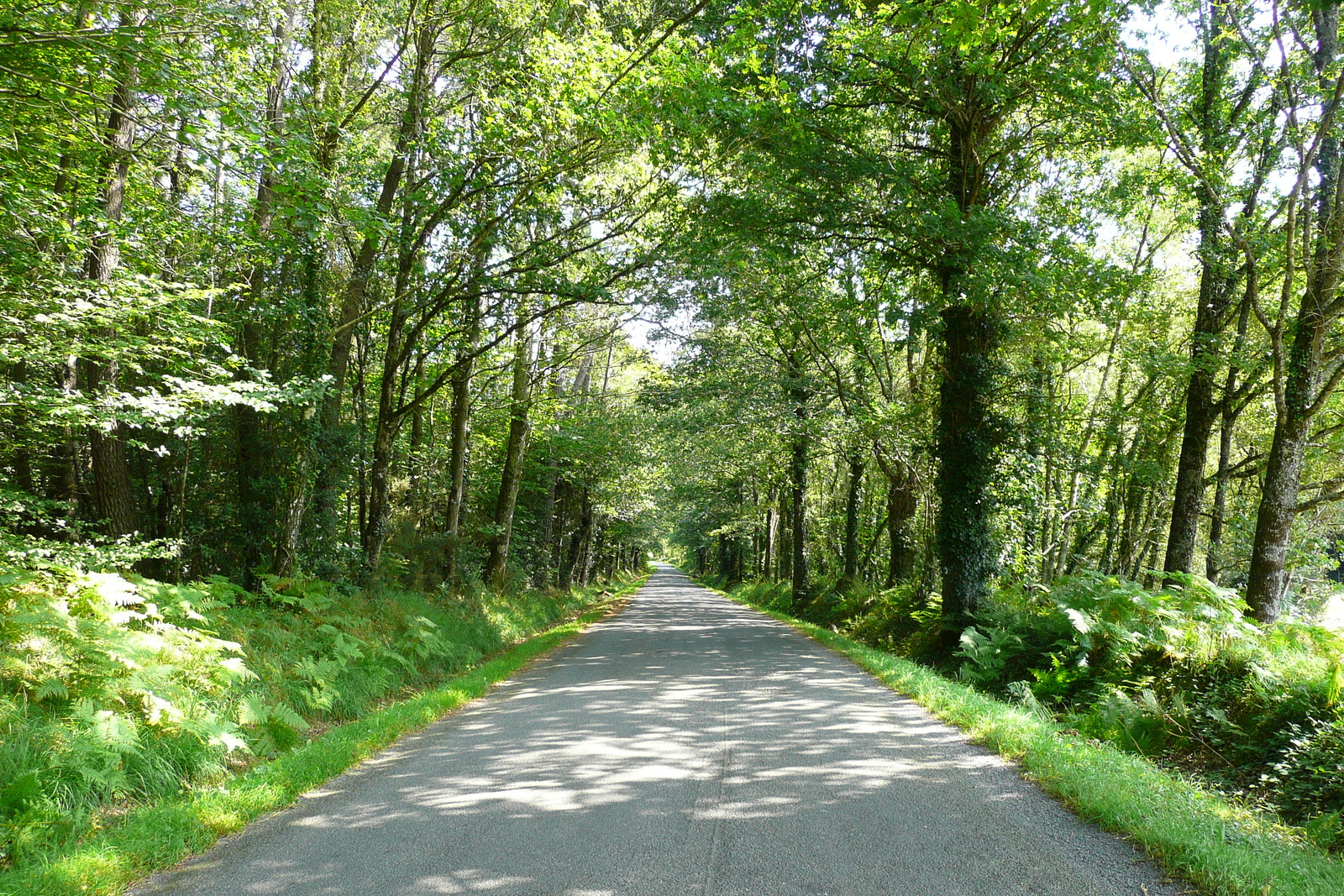 Photo France Routes de Bretagne 2007-08 40