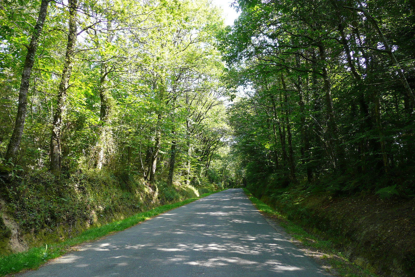 Photo France Routes de Bretagne 2007-08 44