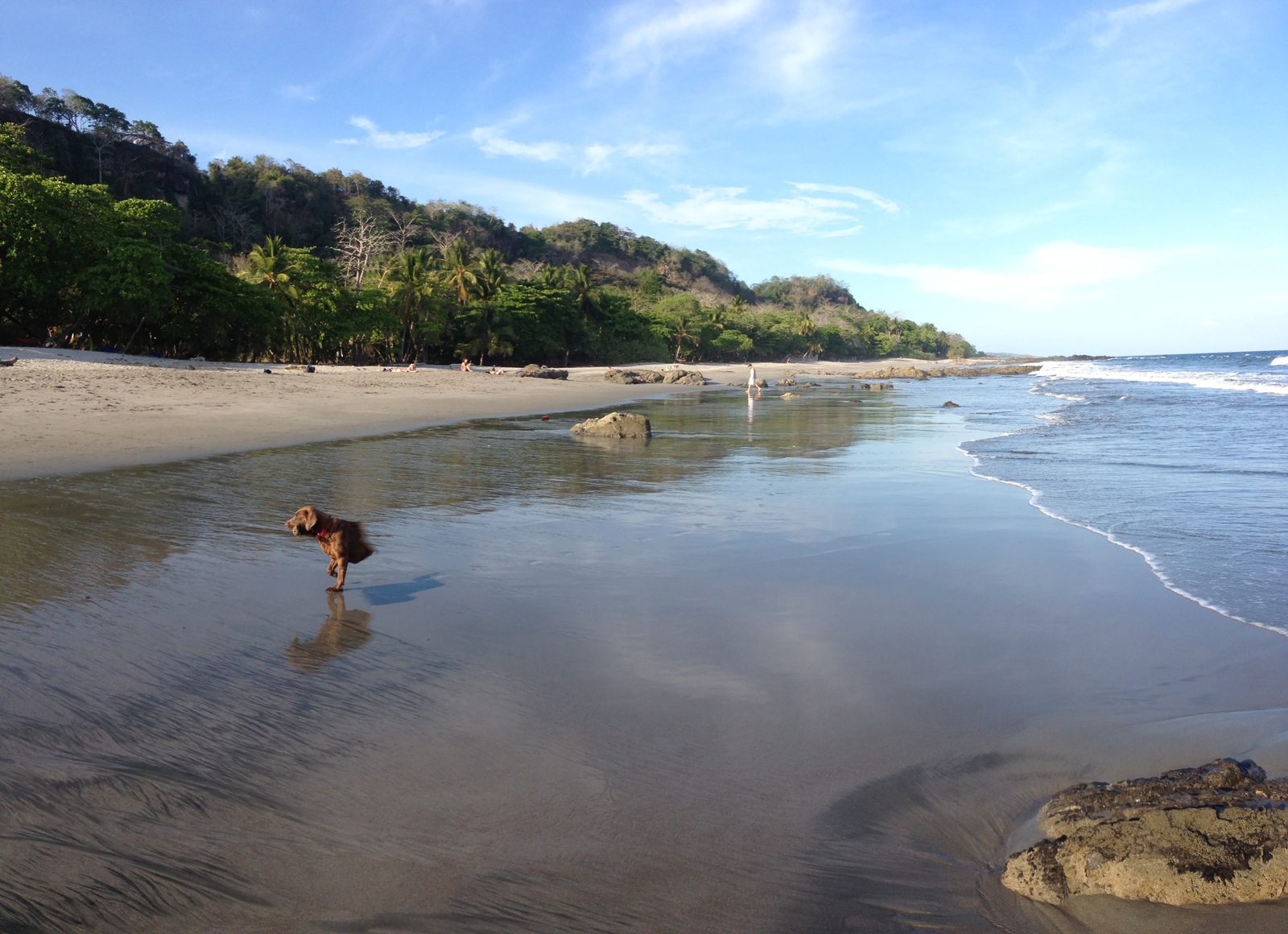 Photo Costa Rica Montezuma 2015-03 251