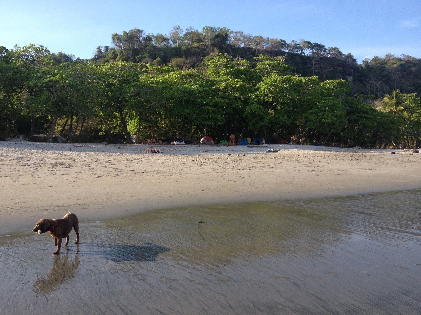 Photo Costa Rica Montezuma 2015-03 293