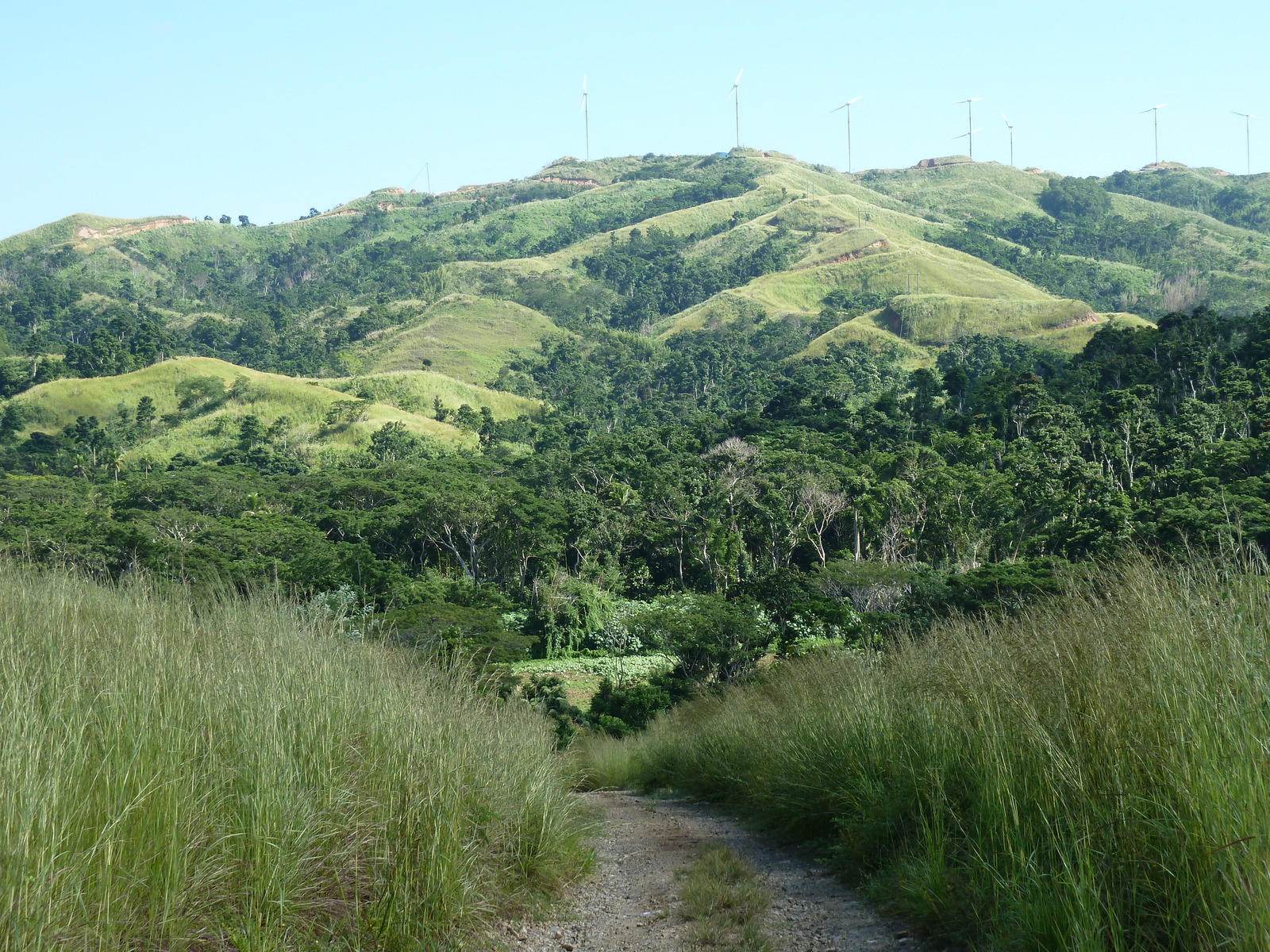Photo Îles Fidji Rivière Sigatoka 2010-05 72
