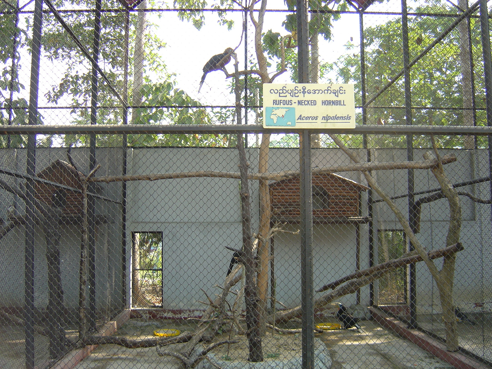 Photo Birmanie (Myanmar) Rangoun 2005-01 202