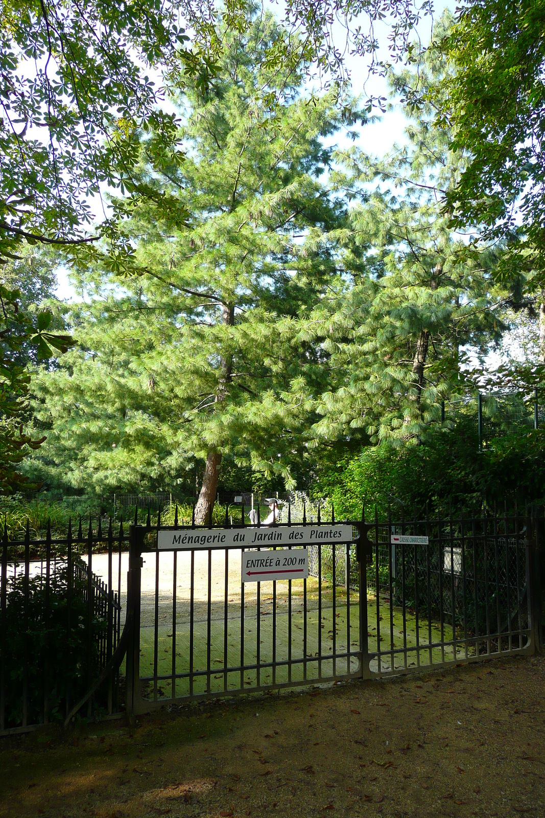 Photo France Paris Jardin des Plantes 2007-08 106