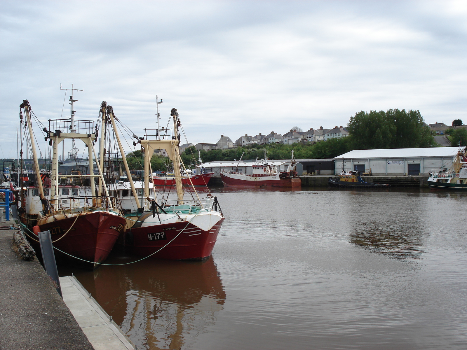 Photo Royaume-Uni Pembrokeshire Milford Haven 2006-05 2