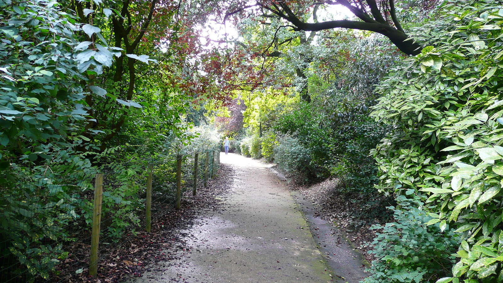 Photo France Paris Parc des Buttes-Chaumont 2007-08 56