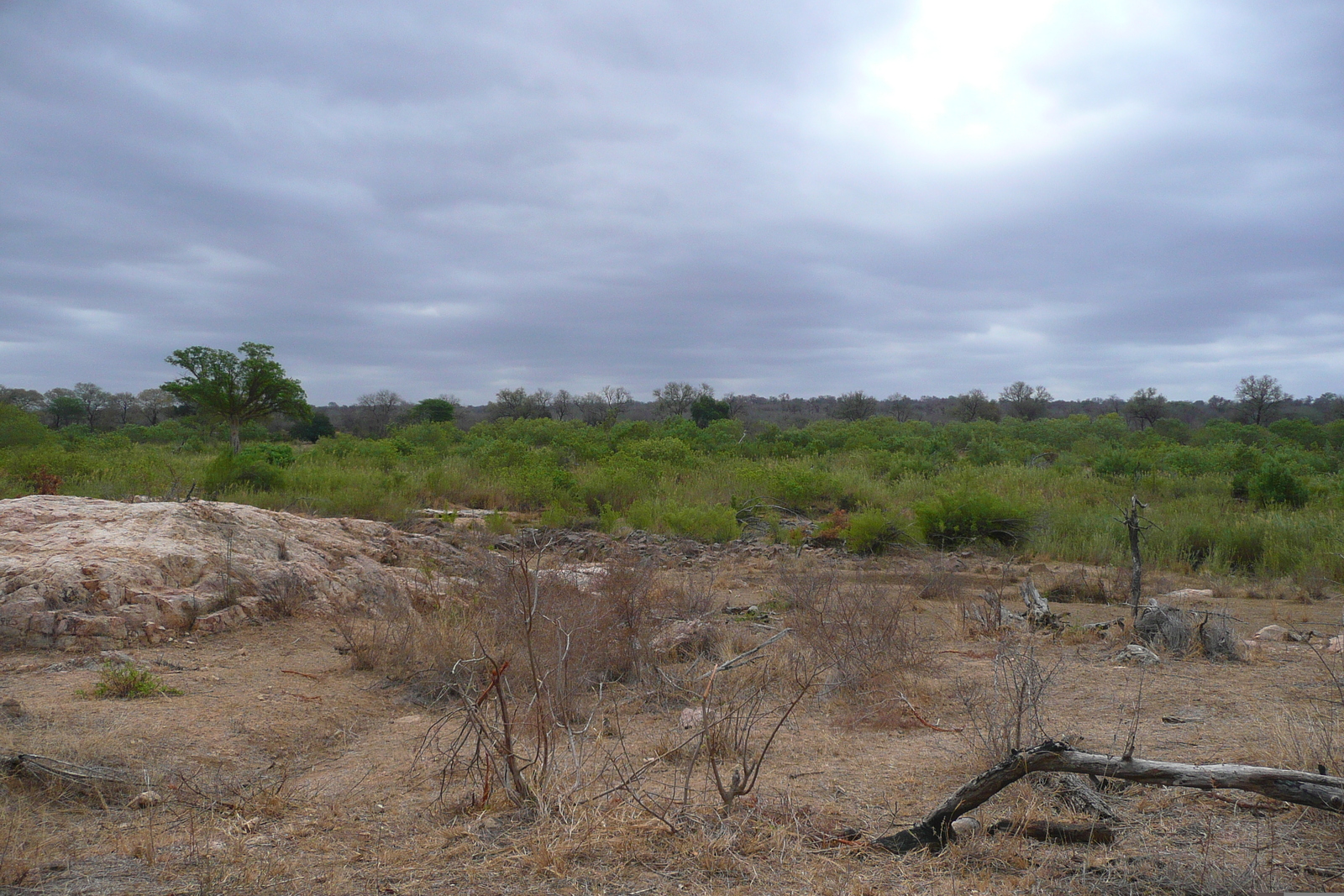 Photo Afrique du Sud Parc National Kruger Rivière Sable 2008-09 70