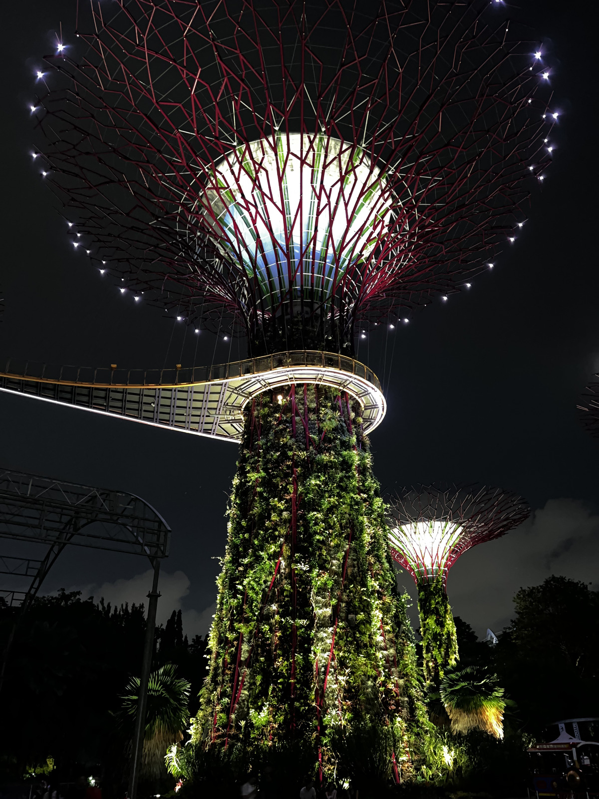 Photo Singapour Garden by the bay 2023-01 48