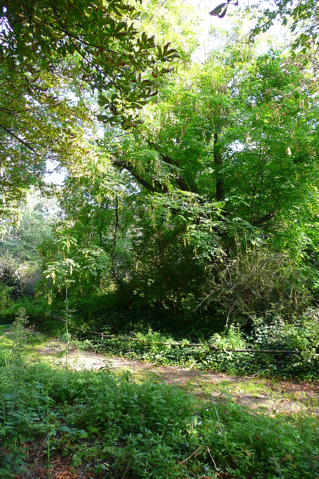 Photo France Paris Jardin des Plantes 2007-08 107