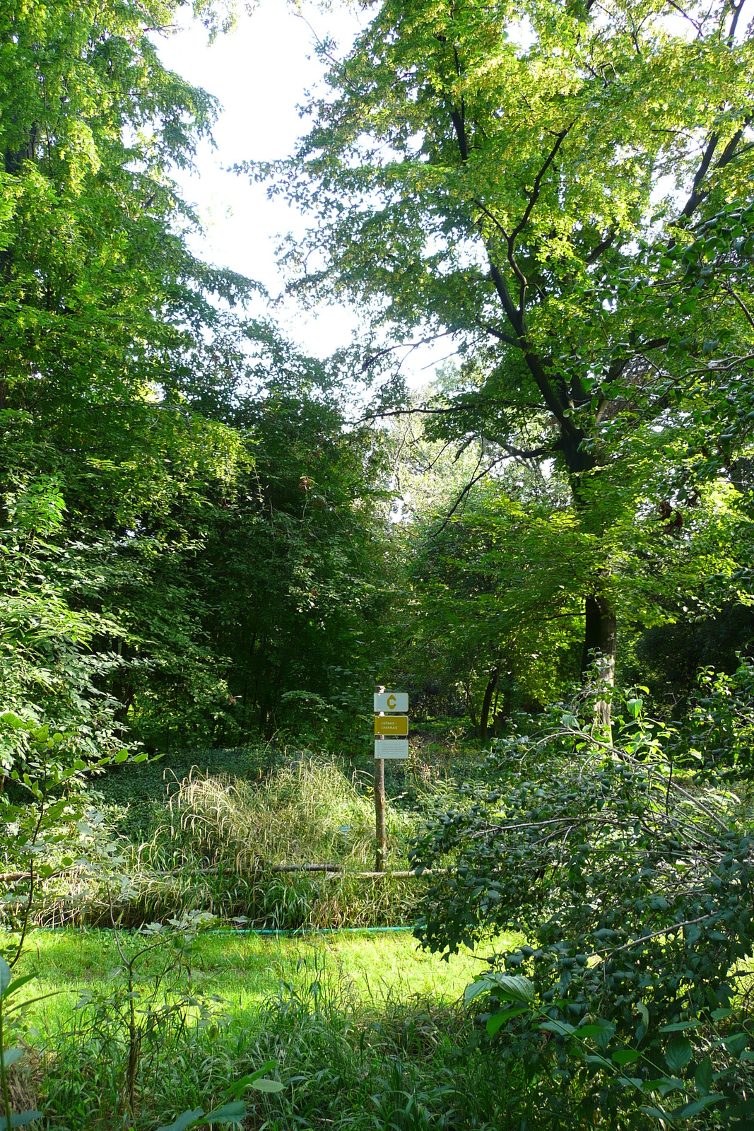Photo France Paris Jardin des Plantes 2007-08 130