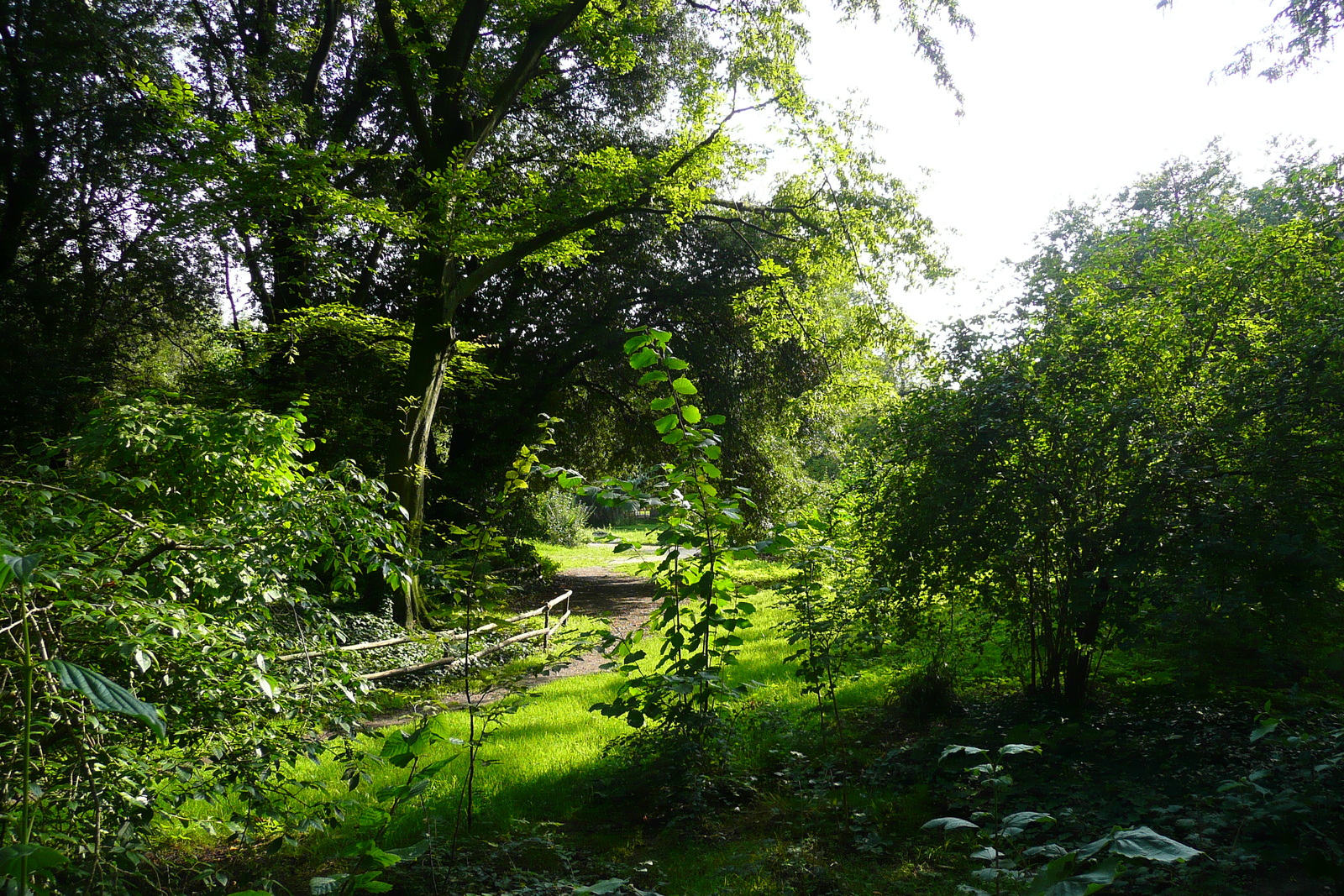 Photo France Paris Jardin des Plantes 2007-08 153