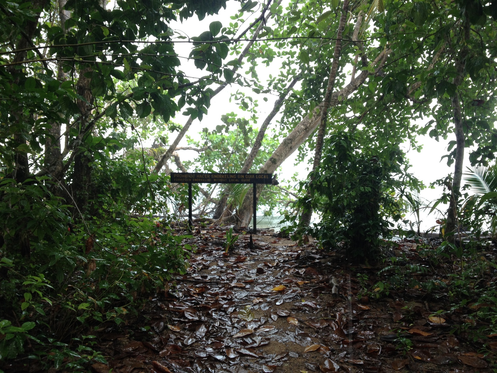 Photo Costa Rica Cahuita 2015-03 271